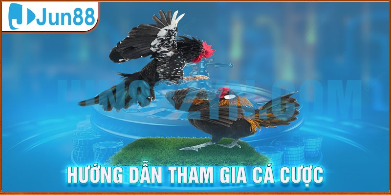 Các bước tham gia đặt cược đá gà Jun88